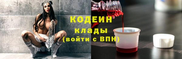 соль ск Пересвет