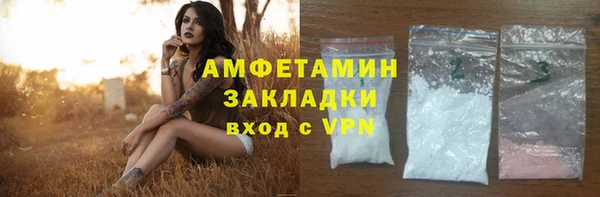 соль ск Пересвет