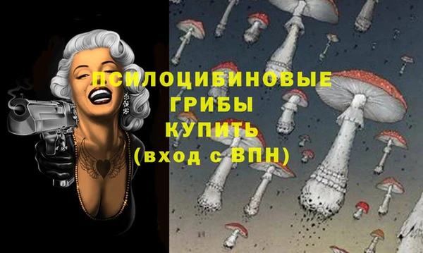 не бодяженный Осинники