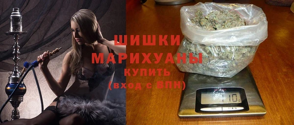 соль ск Пересвет